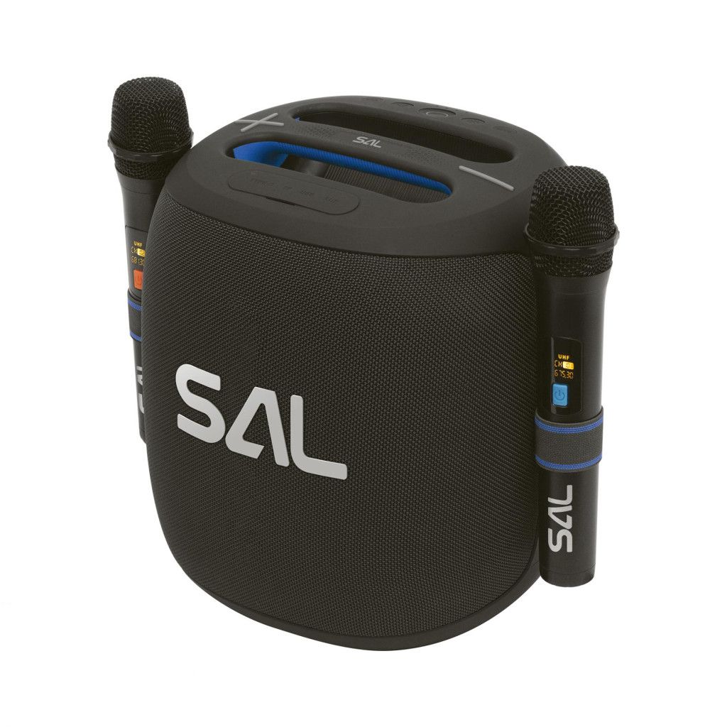 Hangszóró SAL PARCUBE Boombox Black