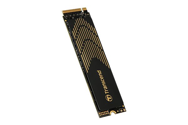 Winchester SSD Transcend 1TB M.2 2280 NVMe 240S