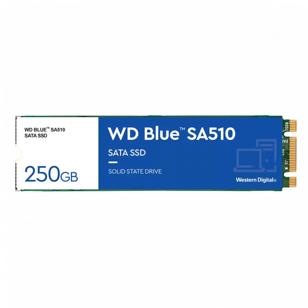 Winchester SSD Western Digital 250GB M.2 2280 SA510 Blue