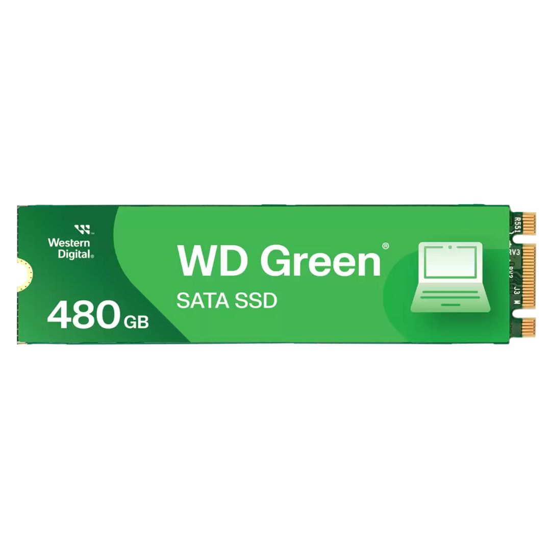 Winchester SSD Western Digital 480GB M.2 2280 Green