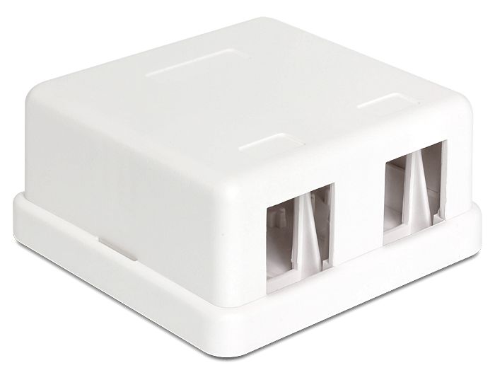 Hálózati eszközök DeLock Keystone Surface Mounted Box 2 Port