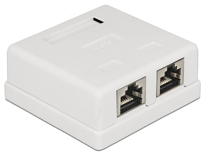 Hálózati eszközök DeLock Modular Wall Outlet 2 Port Cat.6 Hálózati eszközök DeLock Modular Wall Outlet 2 Port Cat.6