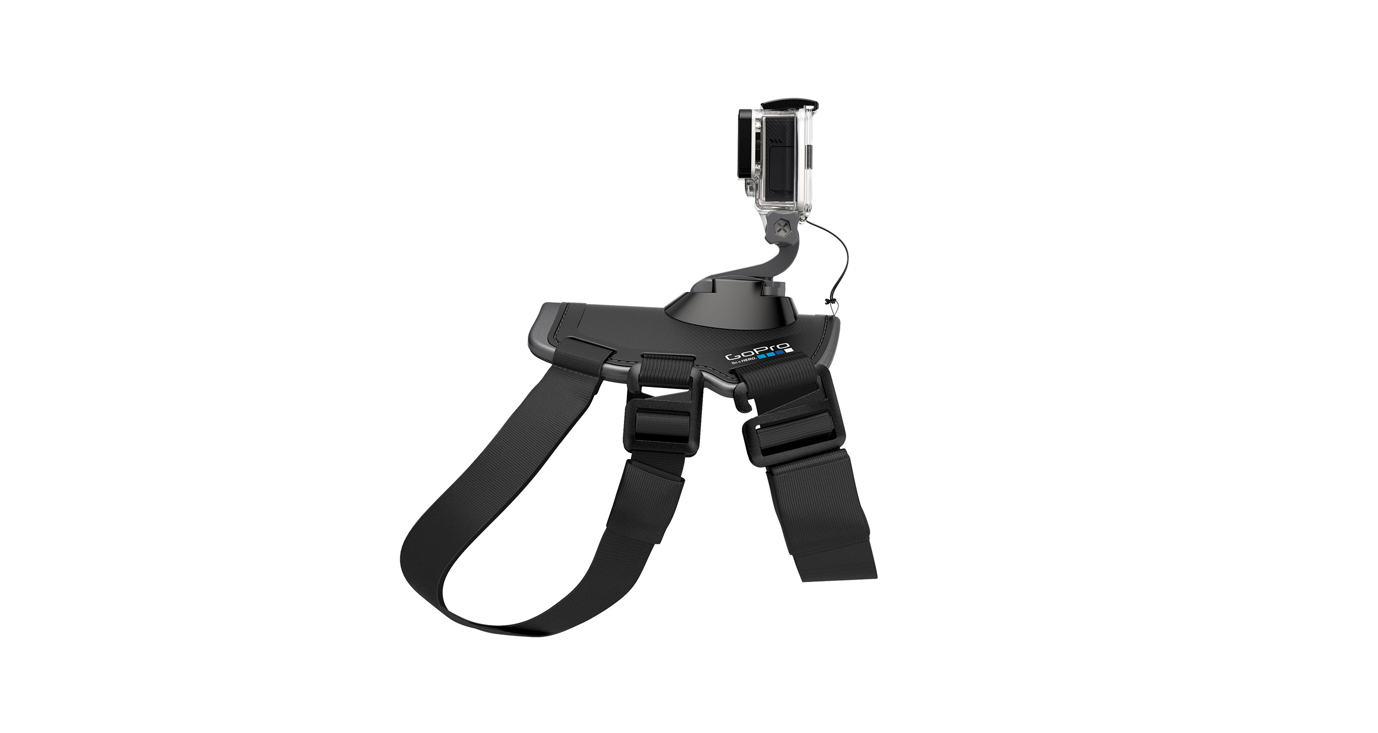 Videokamera GoPro Fetch (Dog harness)