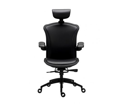 Tesoro Alphaeon E5 Hybrid Gaming Chair Black Tesoro Alphaeon E5 Hybrid Gaming Chair Black