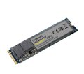 Winchester SSD Intenso 250GB M.2 2280 PCIe NVMe Premium