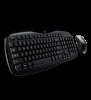 Billentyűzet+egér Logitech Wireless Desktop MK250  (HU, USB)