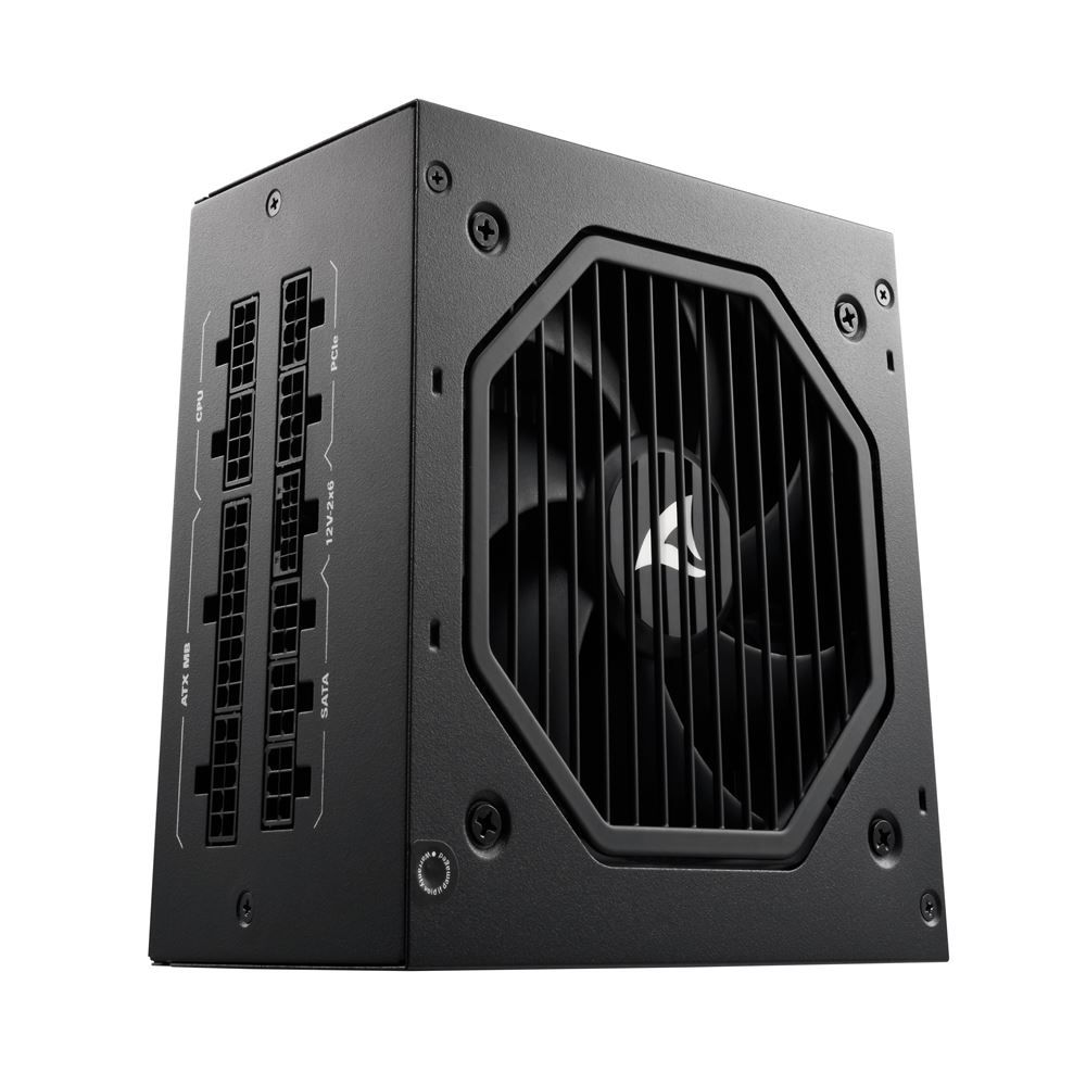 Sharkoon 1000W 80+ Platinum Rebel P20